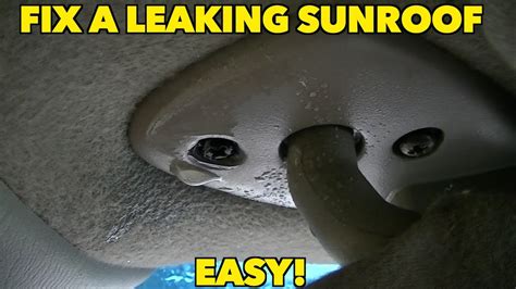 car roof leak repair|How to Fix a Leaky Sunroof